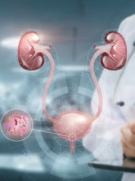 urology